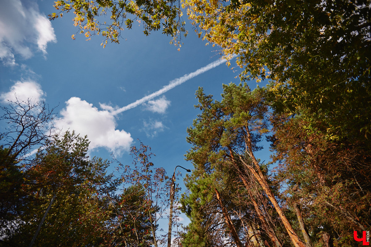 Однажды в общественном транспорте две женщины громко спорили, где растут самые вкусные яблоки. Одна говорила, что в МЮДе, другая уверяла, что в поселке Садовом. И обе оказались правы. Что еще интересного есть в этом районе, на сегодняшней экскурсии нам поведал местный художник Антон Ёжкин.