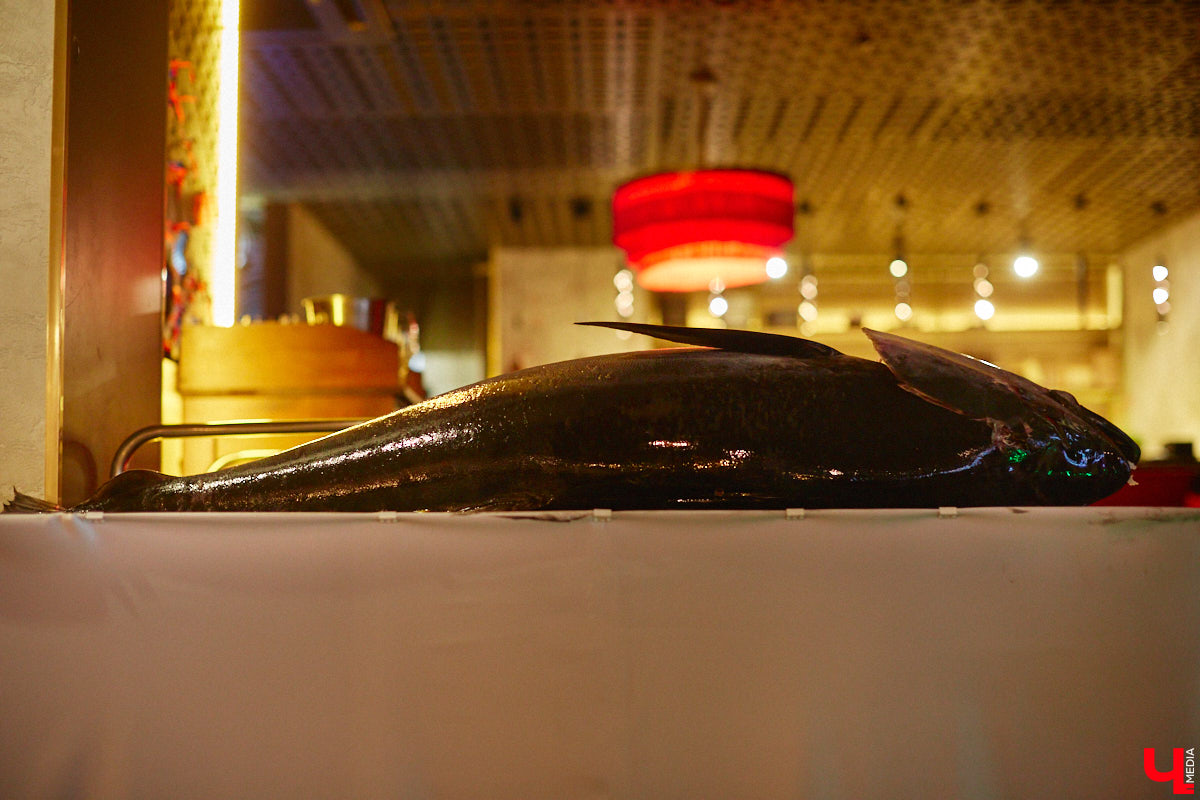 Только представьте: огромную рыбину весом в 60 килограммов, выловленную в водах Индийского океана у берегов Шри-Ланки, меньше чем за сутки доставили на самолете в Москву, чтобы вечером следующего дня владимирские гурманы смогли насладиться ее вкусом. Подробности этого уникального для гастрономической жизни города события в фоторепортаже «Ключ-Медиа».