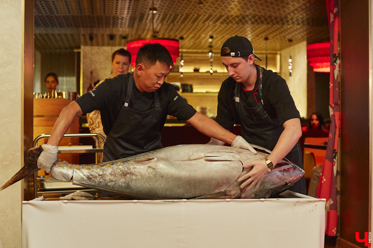 Только представьте: огромную рыбину весом в 60 килограммов, выловленную в водах Индийского океана у берегов Шри-Ланки, меньше чем за сутки доставили на самолете в Москву, чтобы вечером следующего дня владимирские гурманы смогли насладиться ее вкусом. Подробности этого уникального для гастрономической жизни города события в фоторепортаже «Ключ-Медиа».