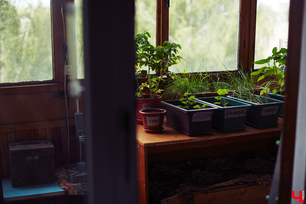 Наукой можно заниматься где угодно. Владимирец Вячеслав Мальцев и его друзья познают окружающий мир в обычной квартире. Там они ставят эксперименты, проводят опыты и разрабатывают интересные, а порой важные для будущего человечества вещи. «Ключ-Медиа» заглянул к ребятам в гости и узнал побольше об их перспективных проектах. Например, о создании биоэлектричества, «вечной батарейки» и трехметрового электросамоката.