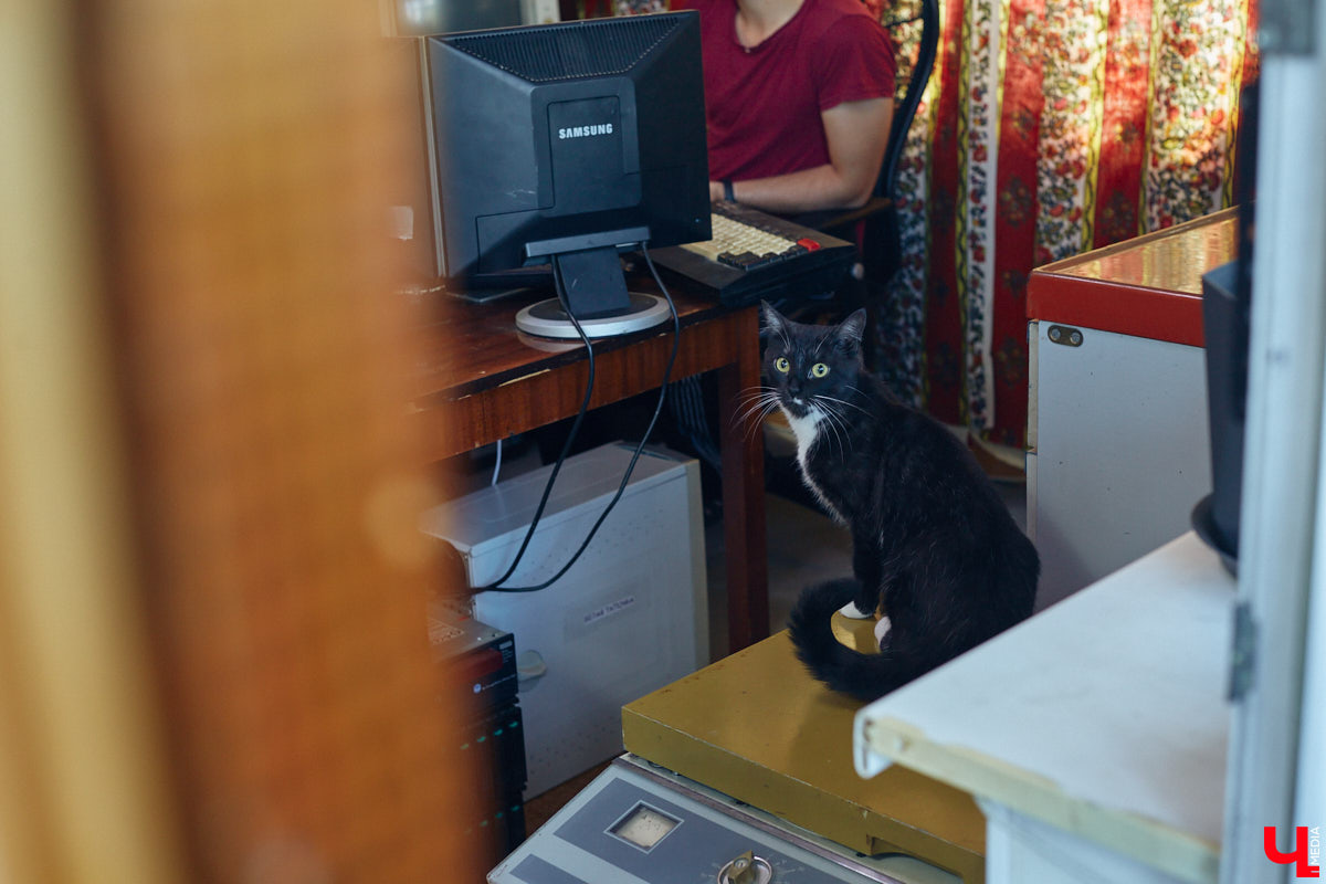 Наукой можно заниматься где угодно. Владимирец Вячеслав Мальцев и его друзья познают окружающий мир в обычной квартире. Там они ставят эксперименты, проводят опыты и разрабатывают интересные, а порой важные для будущего человечества вещи. «Ключ-Медиа» заглянул к ребятам в гости и узнал побольше об их перспективных проектах. Например, о создании биоэлектричества, «вечной батарейки» и трехметрового электросамоката.