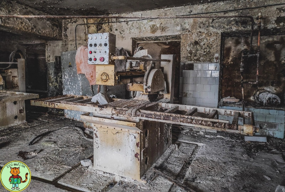 В Дюкинский заказник можно приехать не только за дзеном в окружении редких растений или альпинизмом. Для любителей заброшек здесь тоже найдется лакомый объект. В 70 км от Владимира стоит пустующий цех, который привлек внимание местного тревел-блогера.