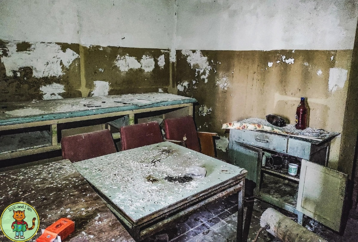 В Дюкинский заказник можно приехать не только за дзеном в окружении редких растений или альпинизмом. Для любителей заброшек здесь тоже найдется лакомый объект. В 70 км от Владимира стоит пустующий цех, который привлек внимание местного тревел-блогера.