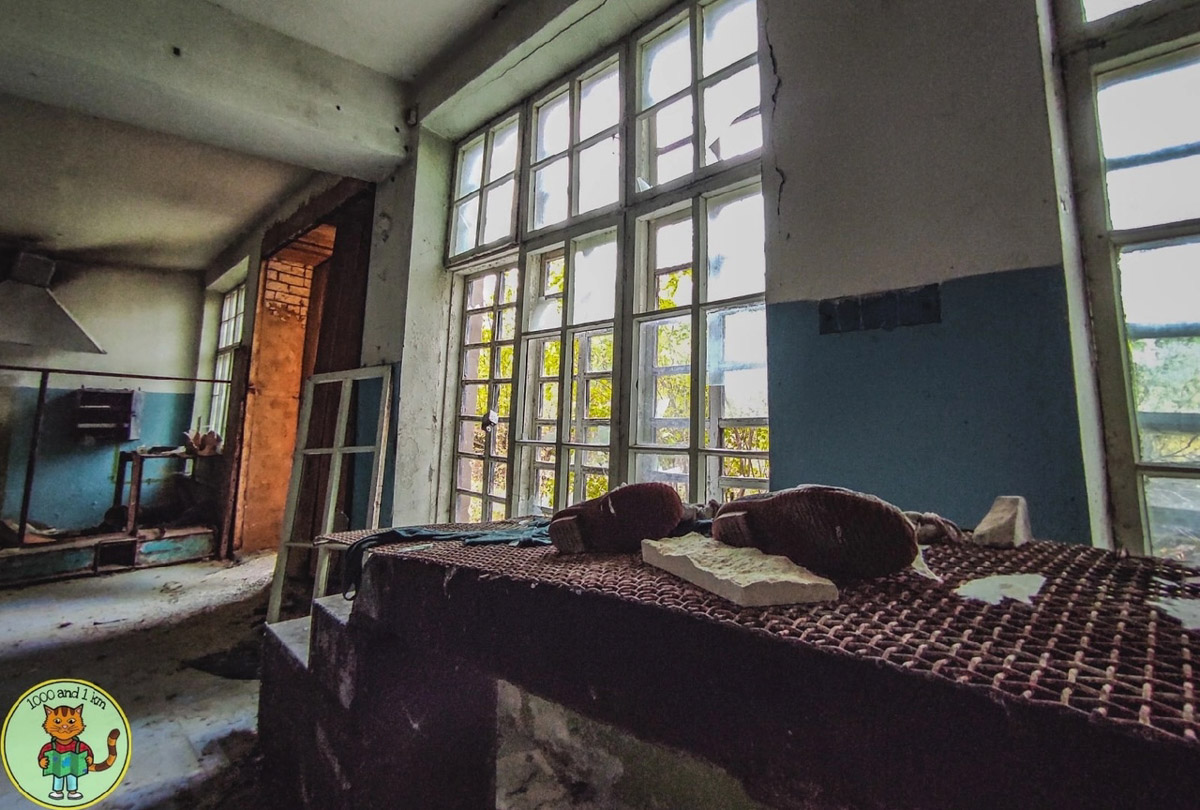 В Дюкинский заказник можно приехать не только за дзеном в окружении редких растений или альпинизмом. Для любителей заброшек здесь тоже найдется лакомый объект. В 70 км от Владимира стоит пустующий цех, который привлек внимание местного тревел-блогера.