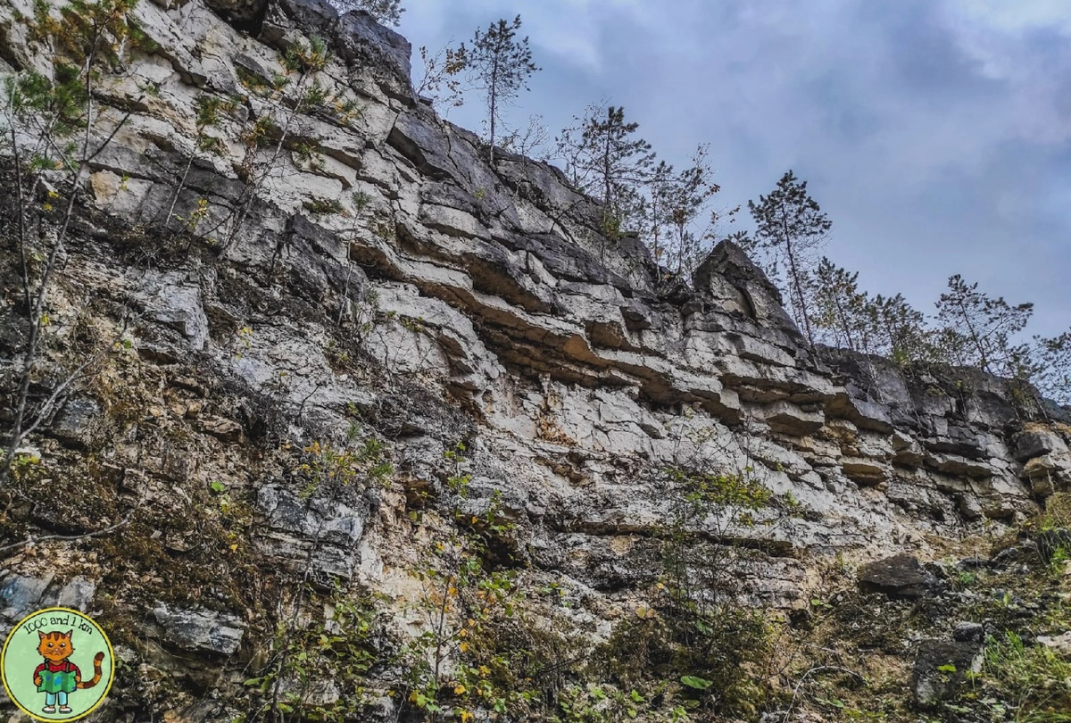 В Дюкинский заказник можно приехать не только за дзеном в окружении редких растений или альпинизмом. Для любителей заброшек здесь тоже найдется лакомый объект. В 70 км от Владимира стоит пустующий цех, который привлек внимание местного тревел-блогера.