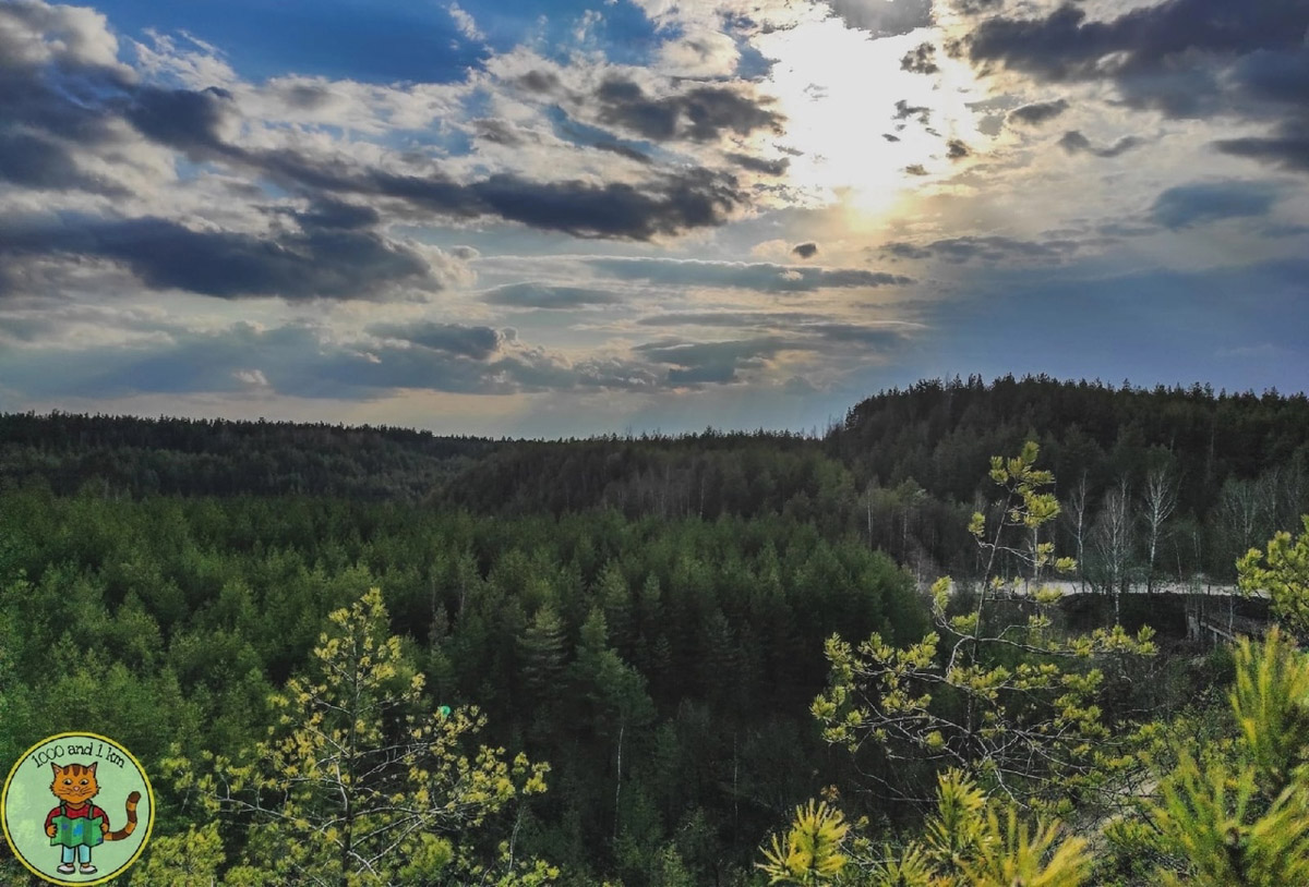 В Дюкинский заказник можно приехать не только за дзеном в окружении редких растений или альпинизмом. Для любителей заброшек здесь тоже найдется лакомый объект. В 70 км от Владимира стоит пустующий цех, который привлек внимание местного тревел-блогера.