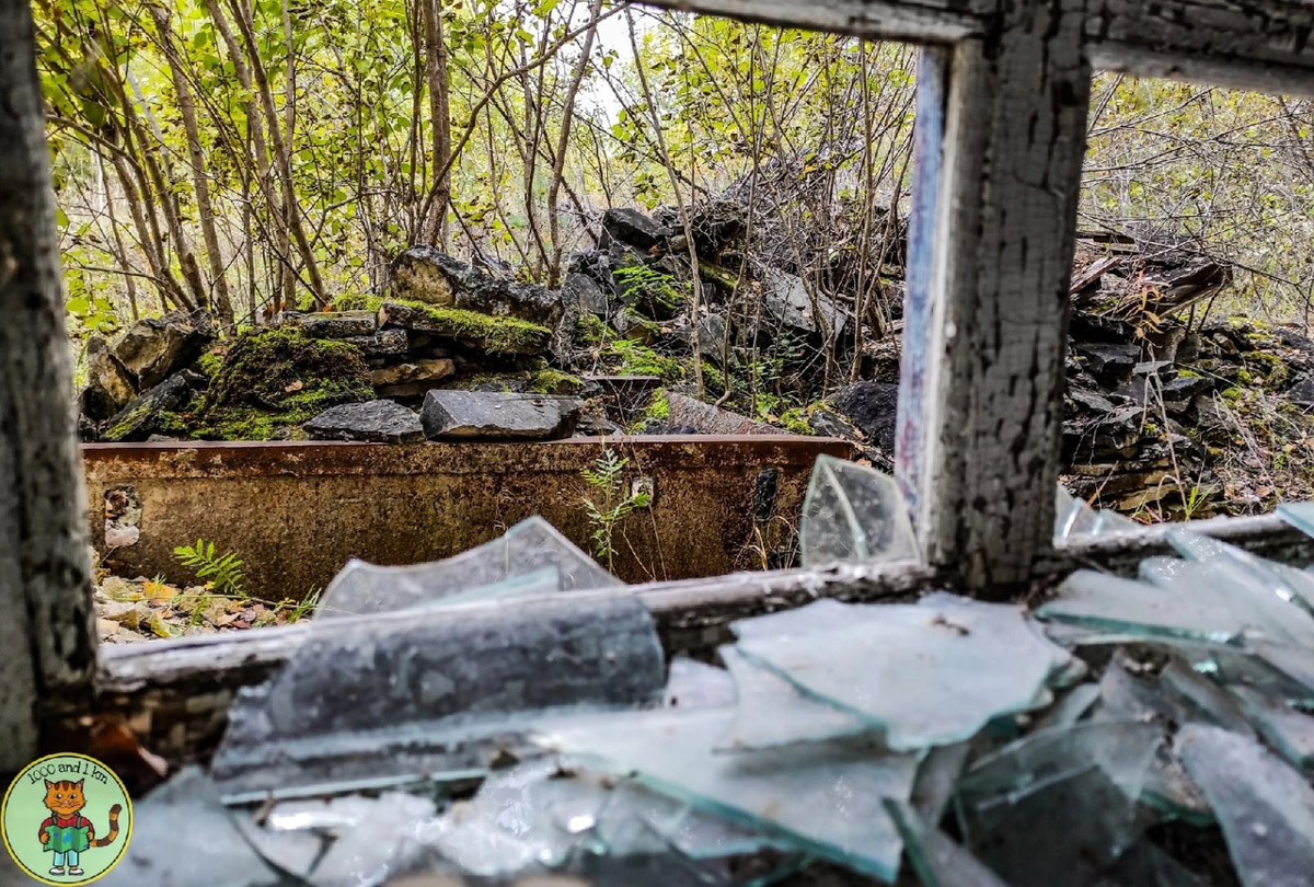 В Дюкинский заказник можно приехать не только за дзеном в окружении редких растений или альпинизмом. Для любителей заброшек здесь тоже найдется лакомый объект. В 70 км от Владимира стоит пустующий цех, который привлек внимание местного тревел-блогера.