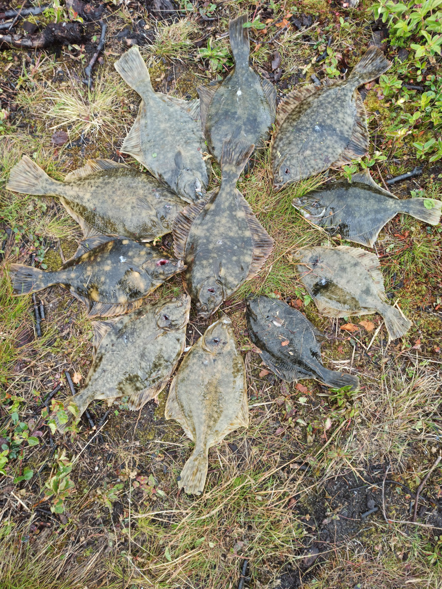 Подводная охота открывает целый дивный мир. Потрясающие своим видом и размерами рыбы, живописные виды, ценные находки, обнаруженные на дне. Откуда мы знаем? Своим опытом с «Ключ-Медиа» поделился Кирилл Исаев, для которого погружение не просто хобби, а стиль жизни.