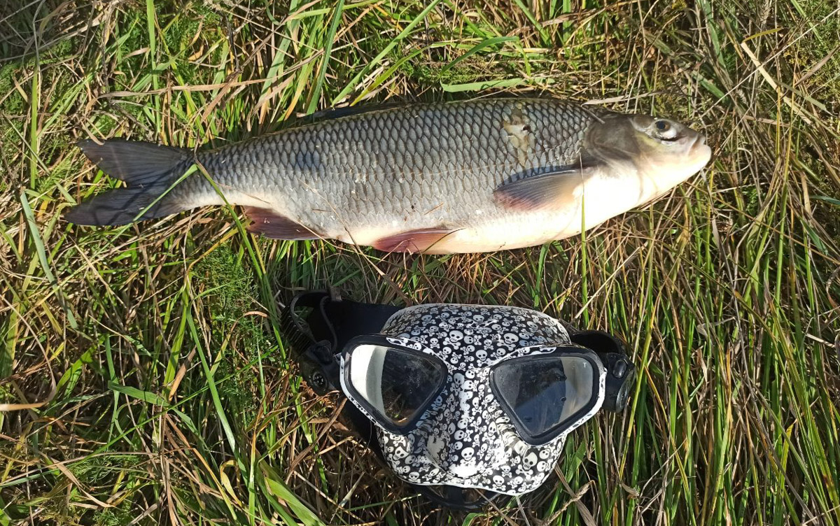 Подводная охота открывает целый дивный мир. Потрясающие своим видом и размерами рыбы, живописные виды, ценные находки, обнаруженные на дне. Откуда мы знаем? Своим опытом с «Ключ-Медиа» поделился Кирилл Исаев, для которого погружение не просто хобби, а стиль жизни.