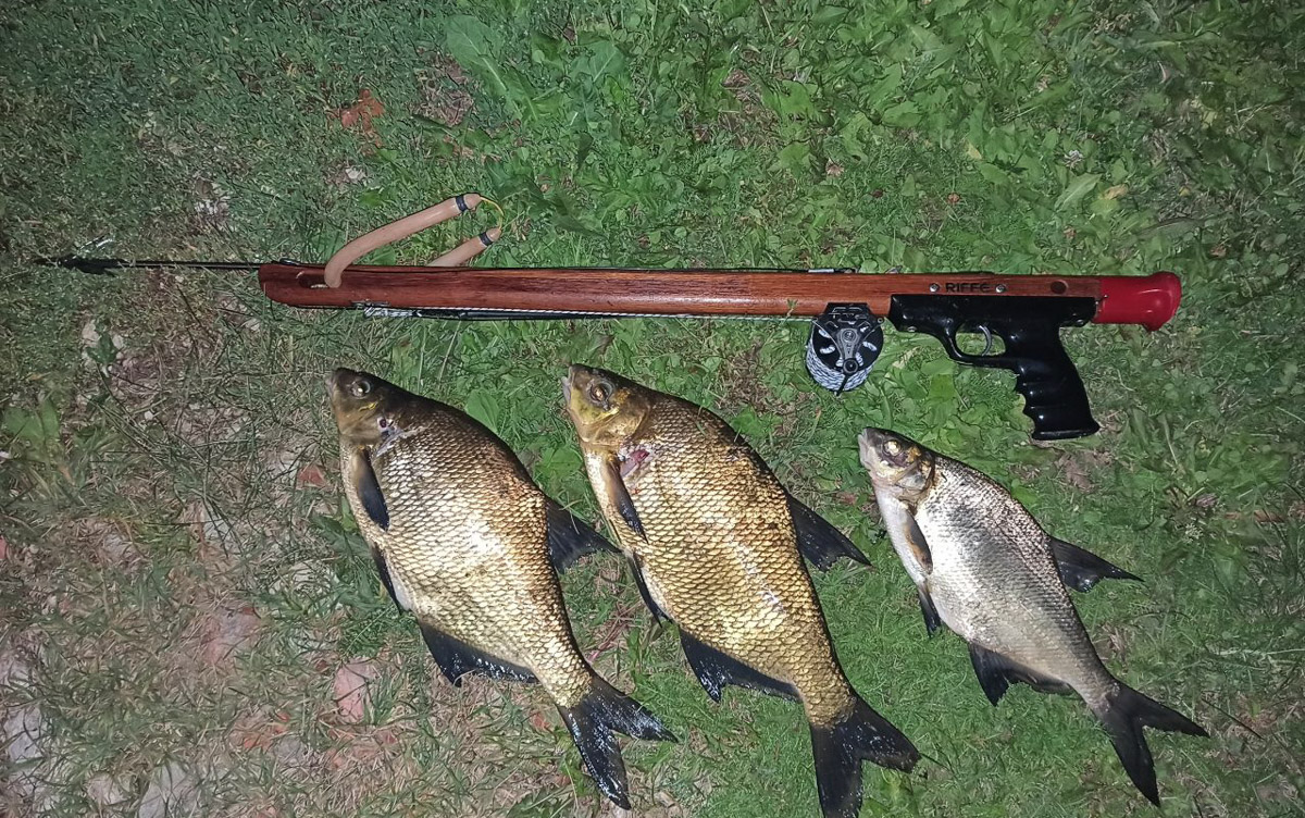 Подводная охота открывает целый дивный мир. Потрясающие своим видом и размерами рыбы, живописные виды, ценные находки, обнаруженные на дне. Откуда мы знаем? Своим опытом с «Ключ-Медиа» поделился Кирилл Исаев, для которого погружение не просто хобби, а стиль жизни.