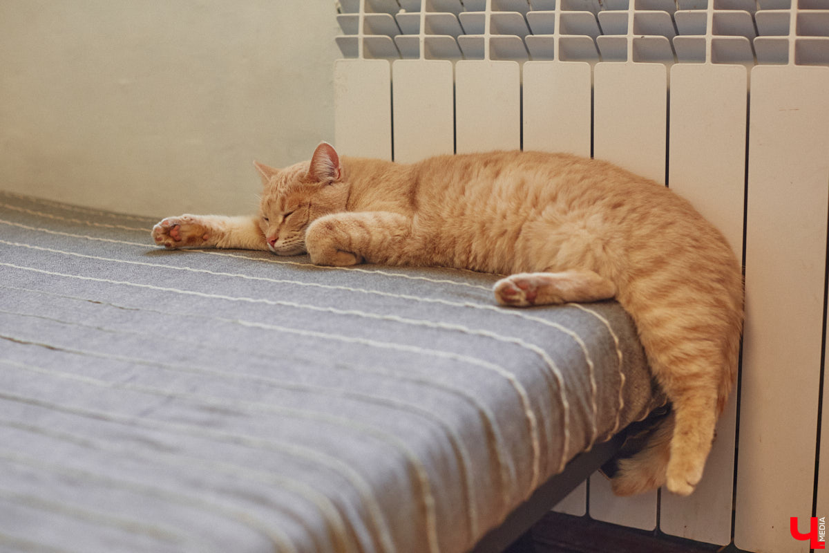 Как избавить дом от ненужных вещей и сделать пространство максимально гармоничным? Этот вопрос актуален для многих. Пользователи социальных сетей обмениваются советами по расхламлению и уборке квартиры за пять минут. Принять участие можно и в челлендже, и в марафоне. Владимирский блогер Арина Ёжкина решила поделиться с нами собственным опытом организации пространства на примере своего дома.