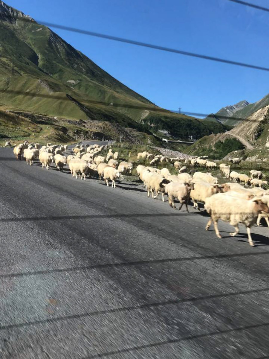 Крупнейший город Грузии имеет богатую историю длиной в более чем полторы тысячи лет. Елена Серегина провела там почти две недели, успев побродить по старой части города, побывать на местном празднике и попробовать традиционные угощения. А на обратном пути еще и ненадолго заглянула во Владикавказ. Подробнее о путешествии читайте на сайте «Ключ-Медиа».