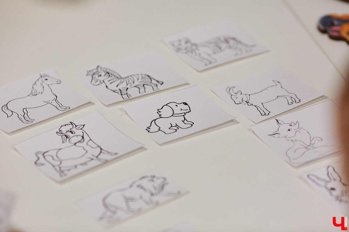 Привить детям любовь к чтению — сложнейшая миссия, которая может оказаться для родителей невыполнимой. И тогда на помощь приходит он — четвероногий канистерапевт. Владимирский приют «Дорога добра» запустил удивительный проект «Пушистая библиотека», в рамках которого ребята приобщаются к миру книг при участии пушистого помощника. Выглядит это так же мило, как и звучит!