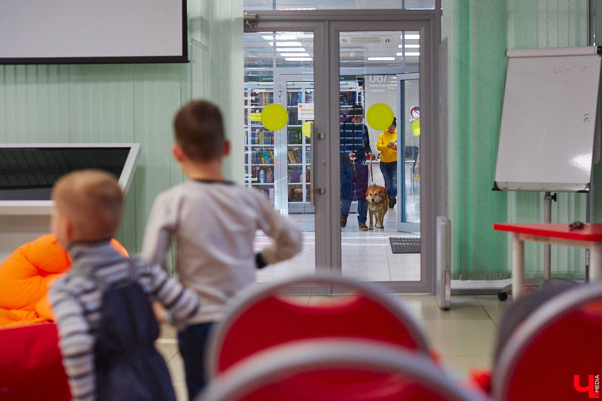 Привить детям любовь к чтению — сложнейшая миссия, которая может оказаться для родителей невыполнимой. И тогда на помощь приходит он — четвероногий канистерапевт. Владимирский приют «Дорога добра» запустил удивительный проект «Пушистая библиотека», в рамках которого ребята приобщаются к миру книг при участии пушистого помощника. Выглядит это так же мило, как и звучит!