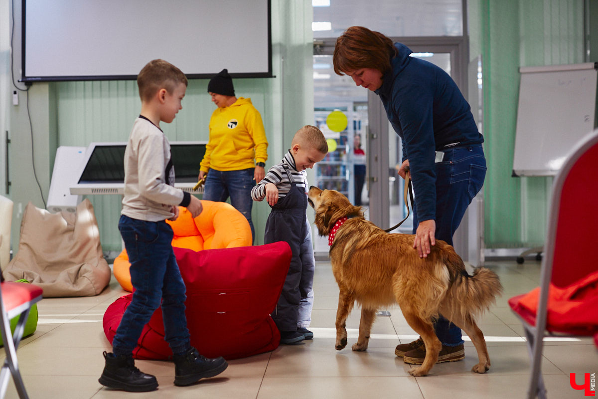Привить детям любовь к чтению — сложнейшая миссия, которая может оказаться для родителей невыполнимой. И тогда на помощь приходит он — четвероногий канистерапевт. Владимирский приют «Дорога добра» запустил удивительный проект «Пушистая библиотека», в рамках которого ребята приобщаются к миру книг при участии пушистого помощника. Выглядит это так же мило, как и звучит!