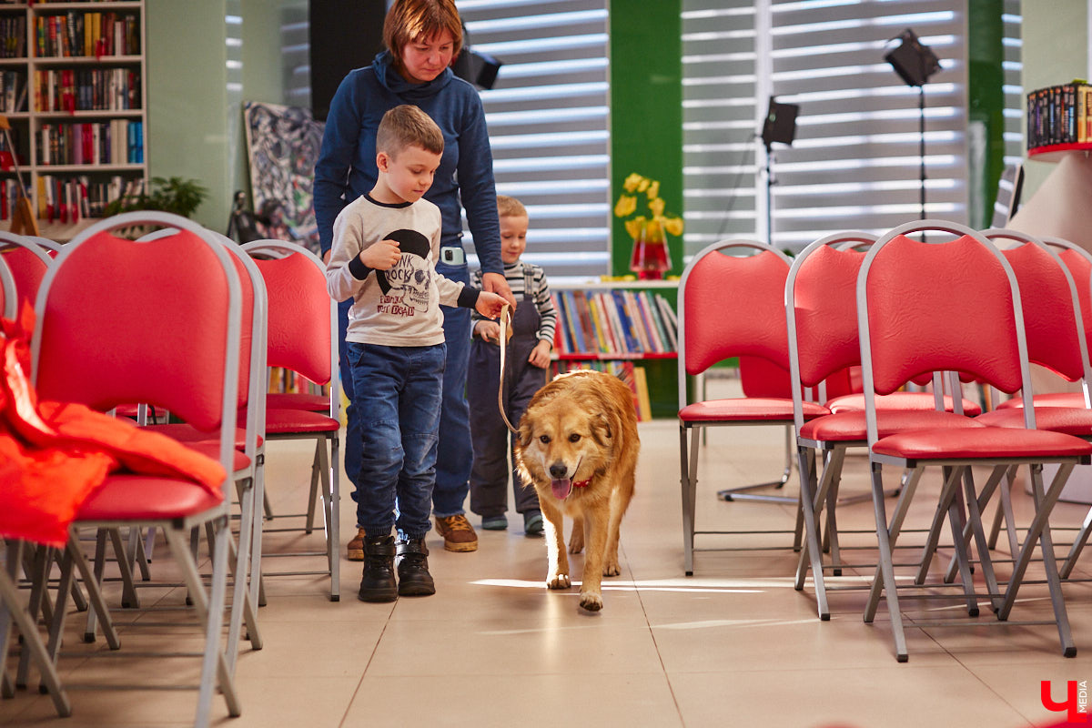 Привить детям любовь к чтению — сложнейшая миссия, которая может оказаться для родителей невыполнимой. И тогда на помощь приходит он — четвероногий канистерапевт. Владимирский приют «Дорога добра» запустил удивительный проект «Пушистая библиотека», в рамках которого ребята приобщаются к миру книг при участии пушистого помощника. Выглядит это так же мило, как и звучит!