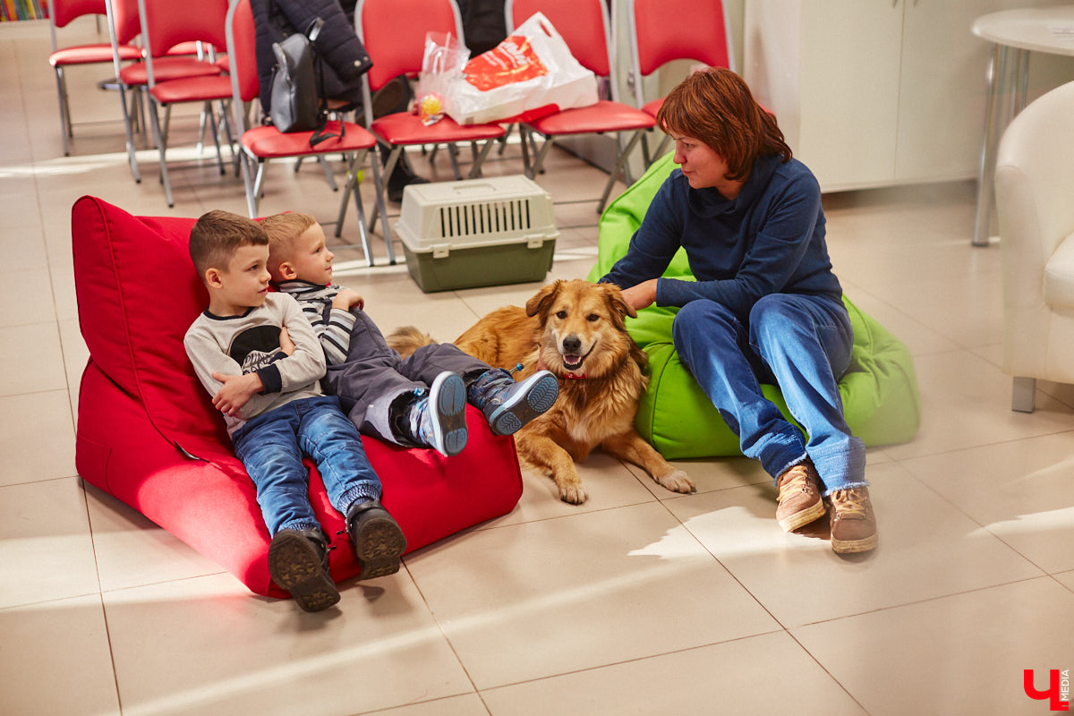 Привить детям любовь к чтению — сложнейшая миссия, которая может оказаться для родителей невыполнимой. И тогда на помощь приходит он — четвероногий канистерапевт. Владимирский приют «Дорога добра» запустил удивительный проект «Пушистая библиотека», в рамках которого ребята приобщаются к миру книг при участии пушистого помощника. Выглядит это так же мило, как и звучит!