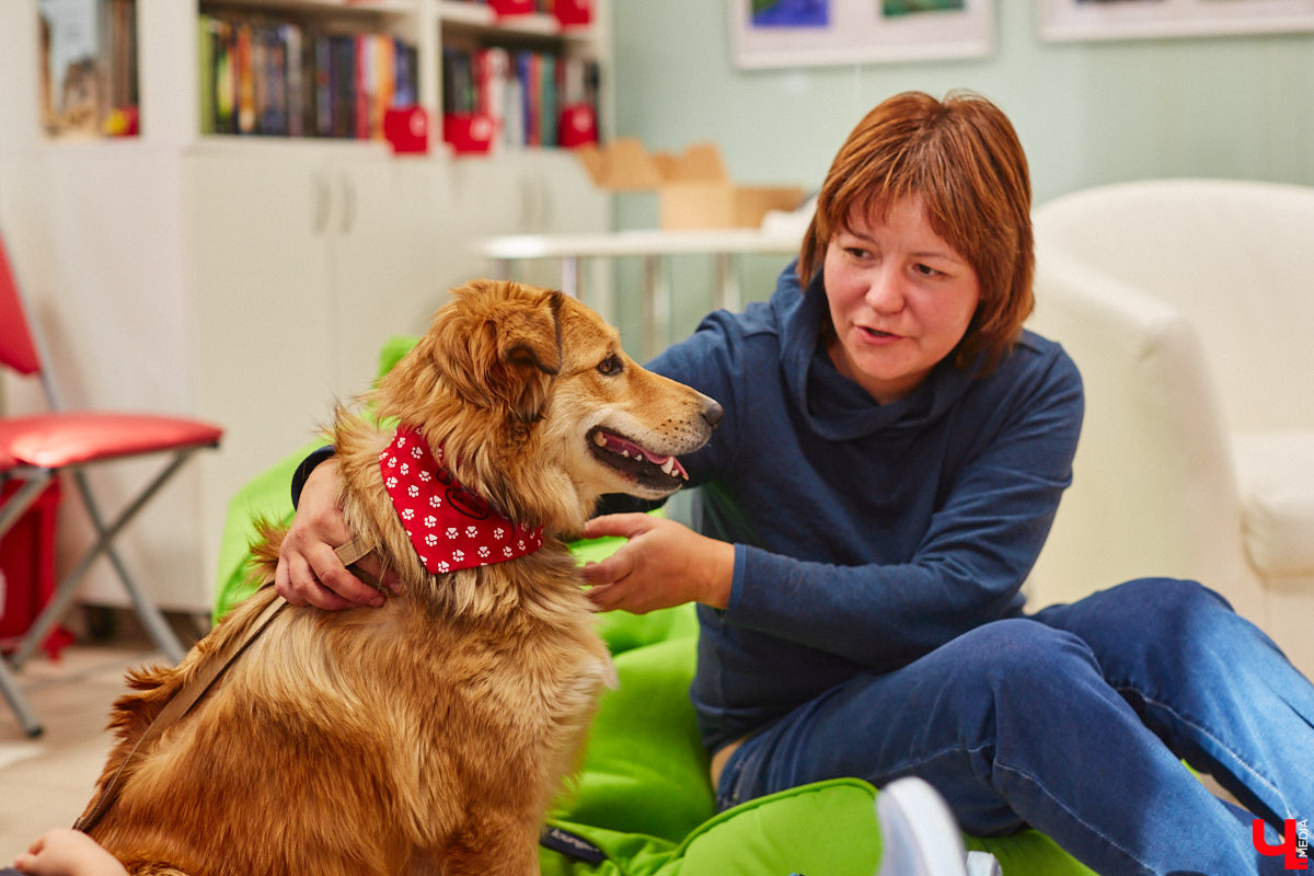 Привить детям любовь к чтению — сложнейшая миссия, которая может оказаться для родителей невыполнимой. И тогда на помощь приходит он — четвероногий канистерапевт. Владимирский приют «Дорога добра» запустил удивительный проект «Пушистая библиотека», в рамках которого ребята приобщаются к миру книг при участии пушистого помощника. Выглядит это так же мило, как и звучит!