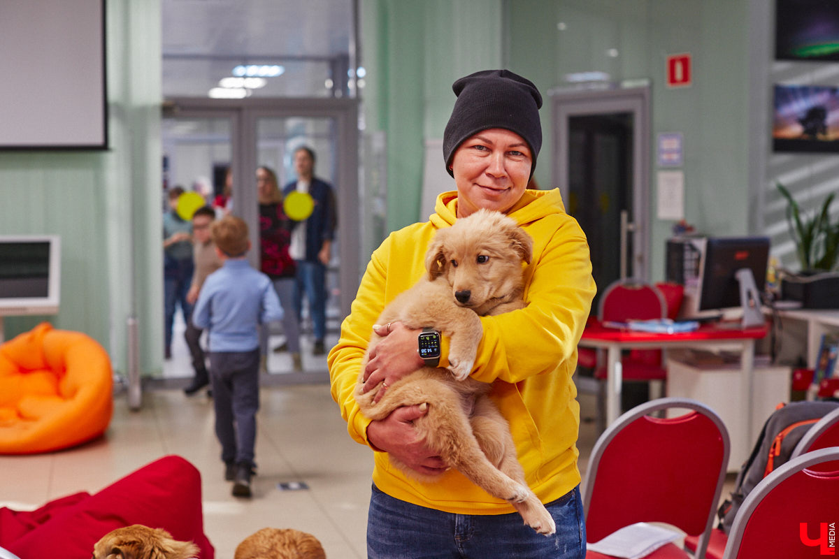 Привить детям любовь к чтению — сложнейшая миссия, которая может оказаться для родителей невыполнимой. И тогда на помощь приходит он — четвероногий канистерапевт. Владимирский приют «Дорога добра» запустил удивительный проект «Пушистая библиотека», в рамках которого ребята приобщаются к миру книг при участии пушистого помощника. Выглядит это так же мило, как и звучит!