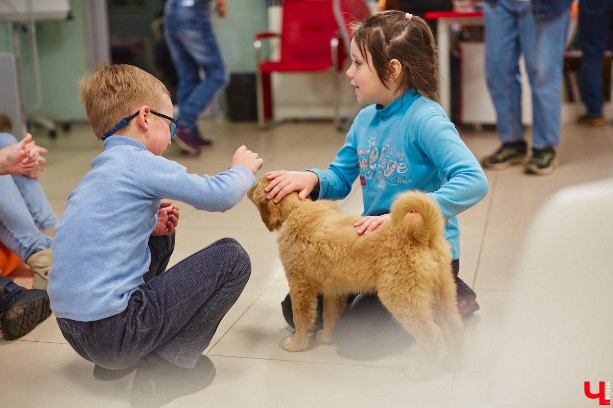 Привить детям любовь к чтению — сложнейшая миссия, которая может оказаться для родителей невыполнимой. И тогда на помощь приходит он — четвероногий канистерапевт. Владимирский приют «Дорога добра» запустил удивительный проект «Пушистая библиотека», в рамках которого ребята приобщаются к миру книг при участии пушистого помощника. Выглядит это так же мило, как и звучит!
