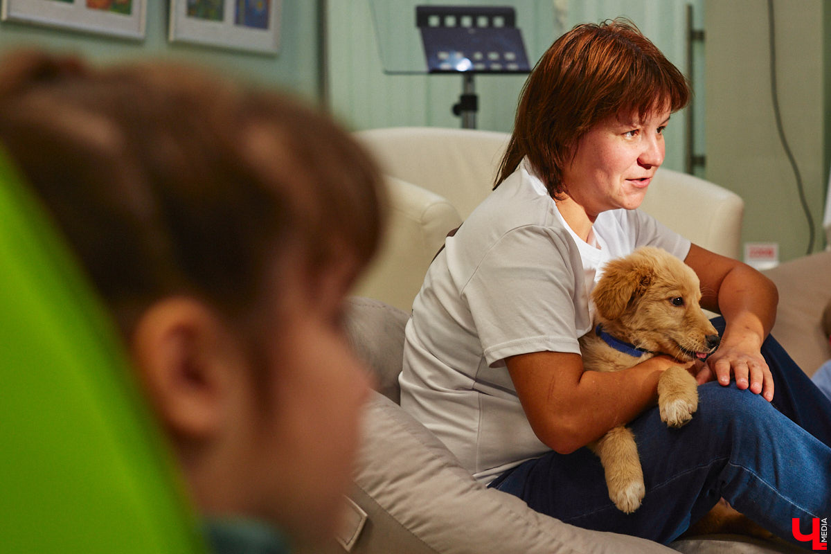 Привить детям любовь к чтению — сложнейшая миссия, которая может оказаться для родителей невыполнимой. И тогда на помощь приходит он — четвероногий канистерапевт. Владимирский приют «Дорога добра» запустил удивительный проект «Пушистая библиотека», в рамках которого ребята приобщаются к миру книг при участии пушистого помощника. Выглядит это так же мило, как и звучит!