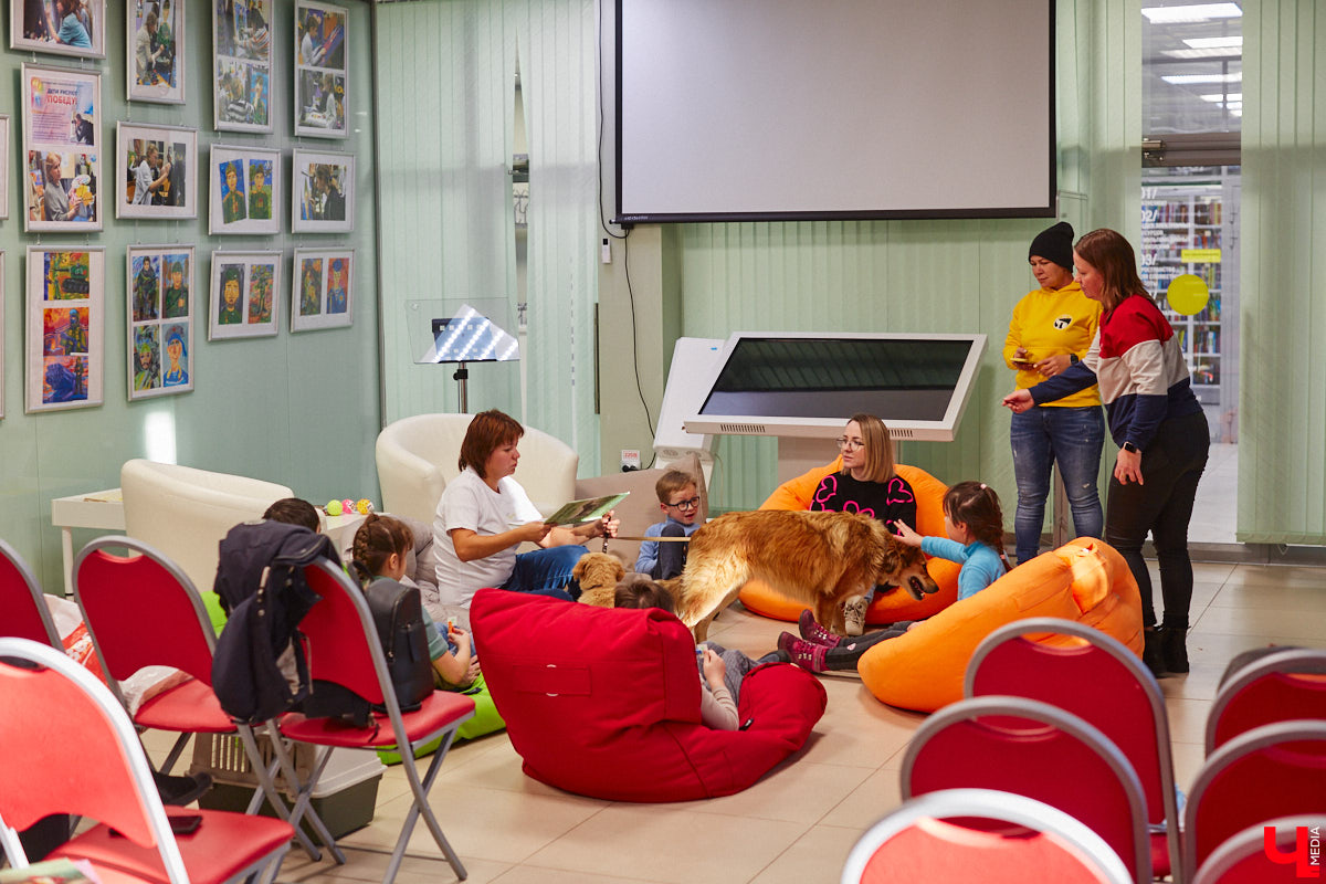 Привить детям любовь к чтению — сложнейшая миссия, которая может оказаться для родителей невыполнимой. И тогда на помощь приходит он — четвероногий канистерапевт. Владимирский приют «Дорога добра» запустил удивительный проект «Пушистая библиотека», в рамках которого ребята приобщаются к миру книг при участии пушистого помощника. Выглядит это так же мило, как и звучит!