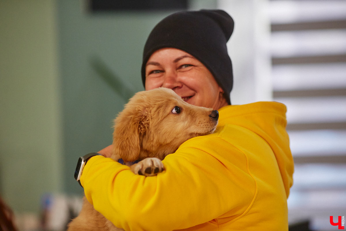 Привить детям любовь к чтению — сложнейшая миссия, которая может оказаться для родителей невыполнимой. И тогда на помощь приходит он — четвероногий канистерапевт. Владимирский приют «Дорога добра» запустил удивительный проект «Пушистая библиотека», в рамках которого ребята приобщаются к миру книг при участии пушистого помощника. Выглядит это так же мило, как и звучит!