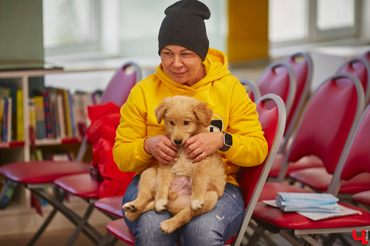 Привить детям любовь к чтению — сложнейшая миссия, которая может оказаться для родителей невыполнимой. И тогда на помощь приходит он — четвероногий канистерапевт. Владимирский приют «Дорога добра» запустил удивительный проект «Пушистая библиотека», в рамках которого ребята приобщаются к миру книг при участии пушистого помощника. Выглядит это так же мило, как и звучит!
