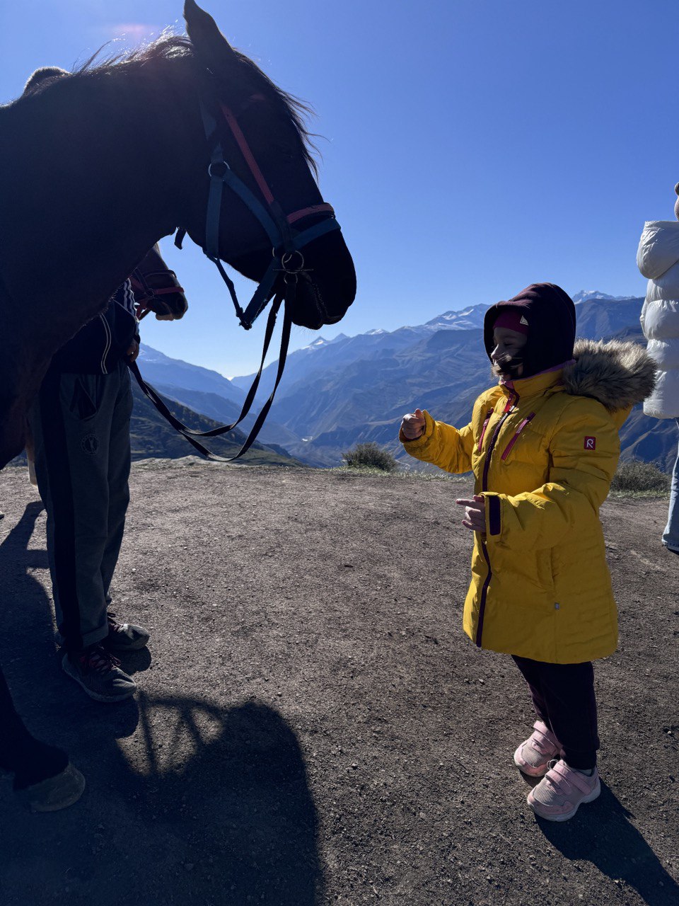 Жительница Владимира Юлия Вишня просто обожает фильм «Властелин колец». А потому горы давно ее манили. Прочувствовать сполна атмосферу любимой трилогии, увидеть парящих в воздухе орлов и взобраться на лошадях на высоту в почти два километра ей удалось в живописной Республике.