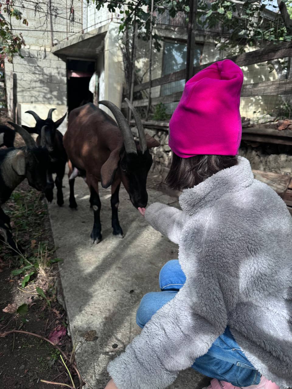 Жительница Владимира Юлия Вишня просто обожает фильм «Властелин колец». А потому горы давно ее манили. Прочувствовать сполна атмосферу любимой трилогии, увидеть парящих в воздухе орлов и взобраться на лошадях на высоту в почти два километра ей удалось в живописной Республике.