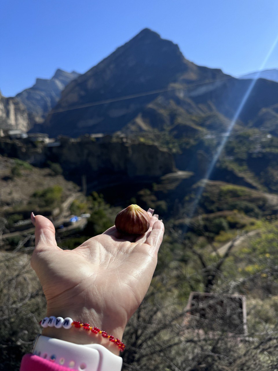 Жительница Владимира Юлия Вишня просто обожает фильм «Властелин колец». А потому горы давно ее манили. Прочувствовать сполна атмосферу любимой трилогии, увидеть парящих в воздухе орлов и взобраться на лошадях на высоту в почти два километра ей удалось в живописной Республике.