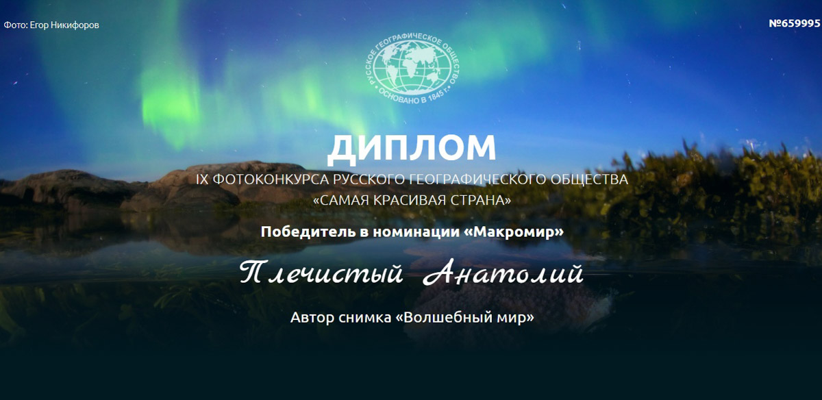 Соцветие укропа после дождя может стать волшебным миром с легкой руки мастера. Так, фотография владимирца Анатолия Плечистого вошла в число победителей международного конкурса «Самая красивая страна». 