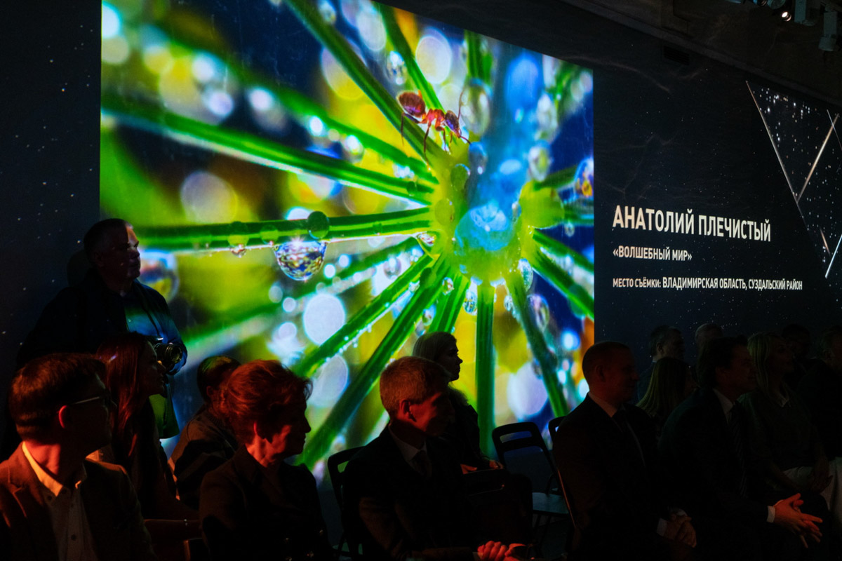 Соцветие укропа после дождя может стать волшебным миром с легкой руки мастера. Так, фотография владимирца Анатолия Плечистого вошла в число победителей международного конкурса «Самая красивая страна». 