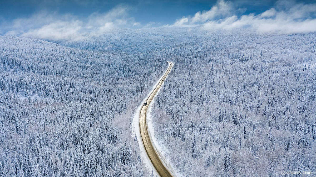 Соцветие укропа после дождя может стать волшебным миром с легкой руки мастера. Так, фотография владимирца Анатолия Плечистого вошла в число победителей международного конкурса «Самая красивая страна». 