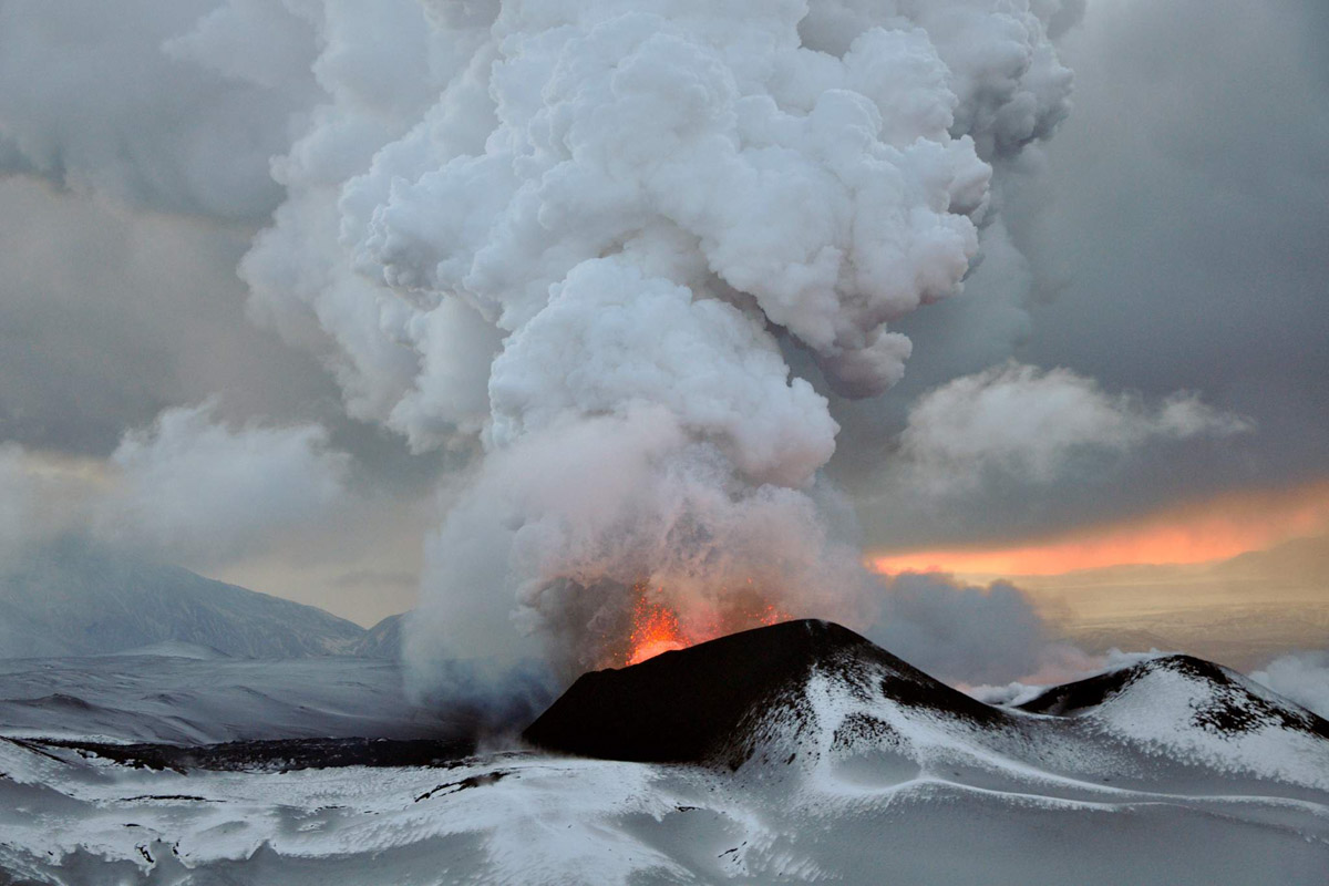 Соцветие укропа после дождя может стать волшебным миром с легкой руки мастера. Так, фотография владимирца Анатолия Плечистого вошла в число победителей международного конкурса «Самая красивая страна». 