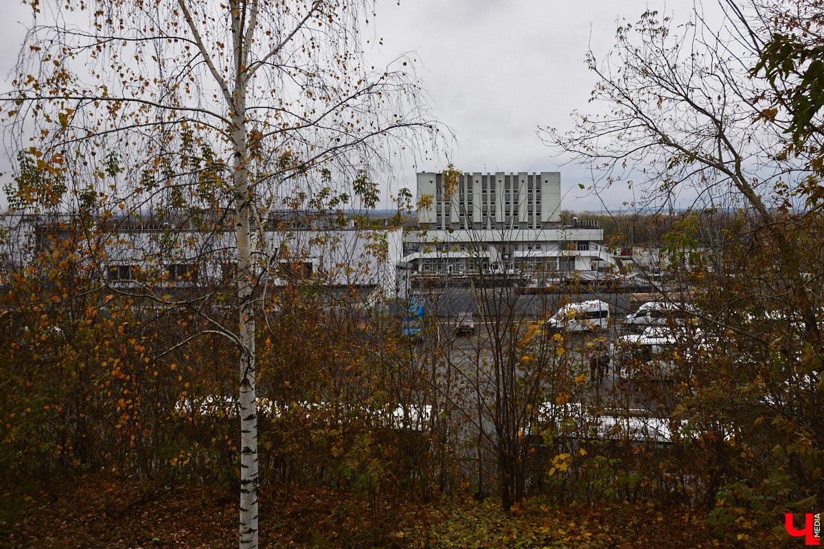 Небольшая улица Карла Маркса проходит параллельно Большой Московской от пересечения Урицкого и Коммунального спуска до Вокзального спуска. Имя немецкого философа и идеолога коммунистического движения она стала носить с 1923 года. Во второй половине XIX века владимирские купцы активно строили здесь доходные дома, в которых открывали трактиры и постоялые дворы. Кроме того, на этой улице до революции находилось крупнейшее промышленное предприятие города — бумаготкацкая фабрика купца Никитина, корпуса которого в конце XIX — начале XX века занимал гренадерский полк.