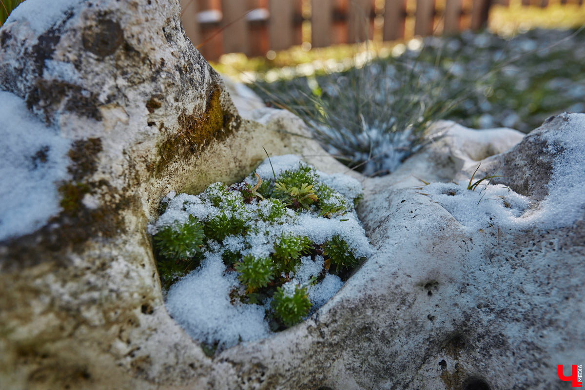 Полина Семина&nbsp;— мастер на&nbsp;все руки. Новый дом, в&nbsp;который они с&nbsp;мужем переехали год назад, она оформила сама. Целиком проработала и&nbsp;реализовала дизайн-концепцию, украсила комнаты своим авторским декором, хендмейд-изделиями и&nbsp;текстилем. Все это оказалось под силу хрупкой девушке, которая с&nbsp;удовольствием провела нам экскурсию по&nbsp;своему этножилищу.