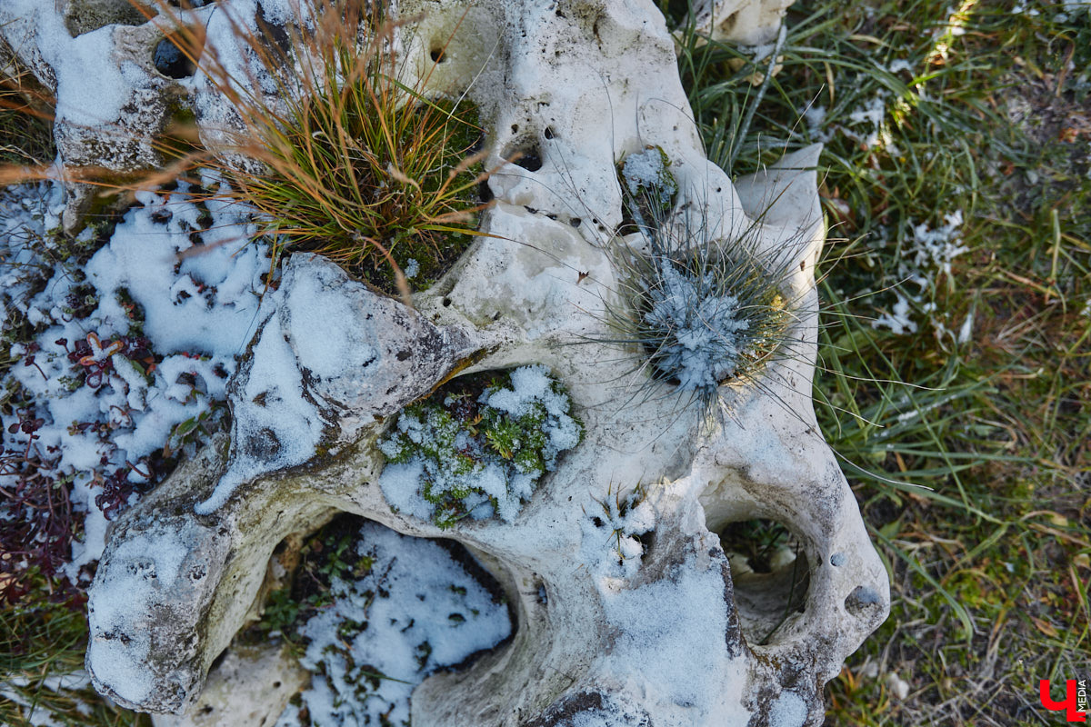 Полина Семина&nbsp;— мастер на&nbsp;все руки. Новый дом, в&nbsp;который они с&nbsp;мужем переехали год назад, она оформила сама. Целиком проработала и&nbsp;реализовала дизайн-концепцию, украсила комнаты своим авторским декором, хендмейд-изделиями и&nbsp;текстилем. Все это оказалось под силу хрупкой девушке, которая с&nbsp;удовольствием провела нам экскурсию по&nbsp;своему этножилищу.