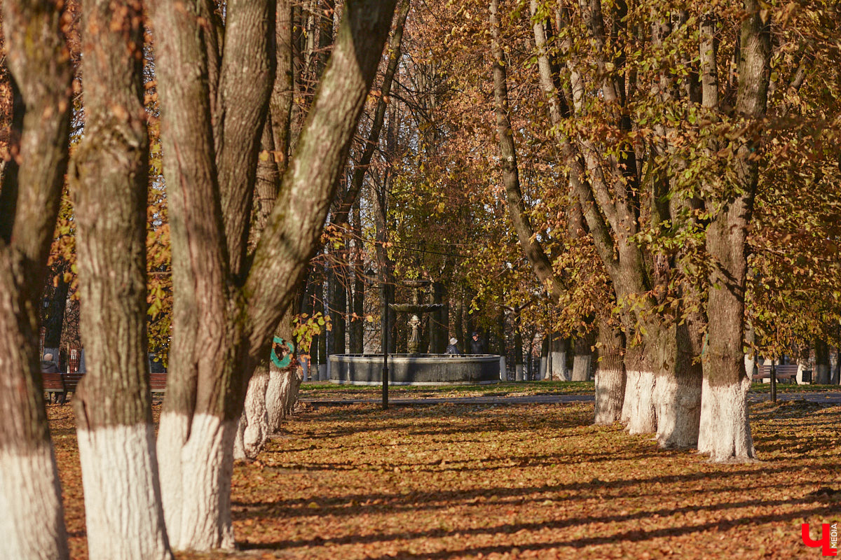 Местный журналист Михаил Язынин презентовал собственный путеводитель для неспешных прогулок по городу. В книге «Владимир пешком» собраны краеведческие материалы, опубликованные им за годы работы в различных газетах и журналах. «Ключ-Медиа» не только изучил гид в мягкой обложке, но и прошелся по улицам областного центра вместе с его автором.