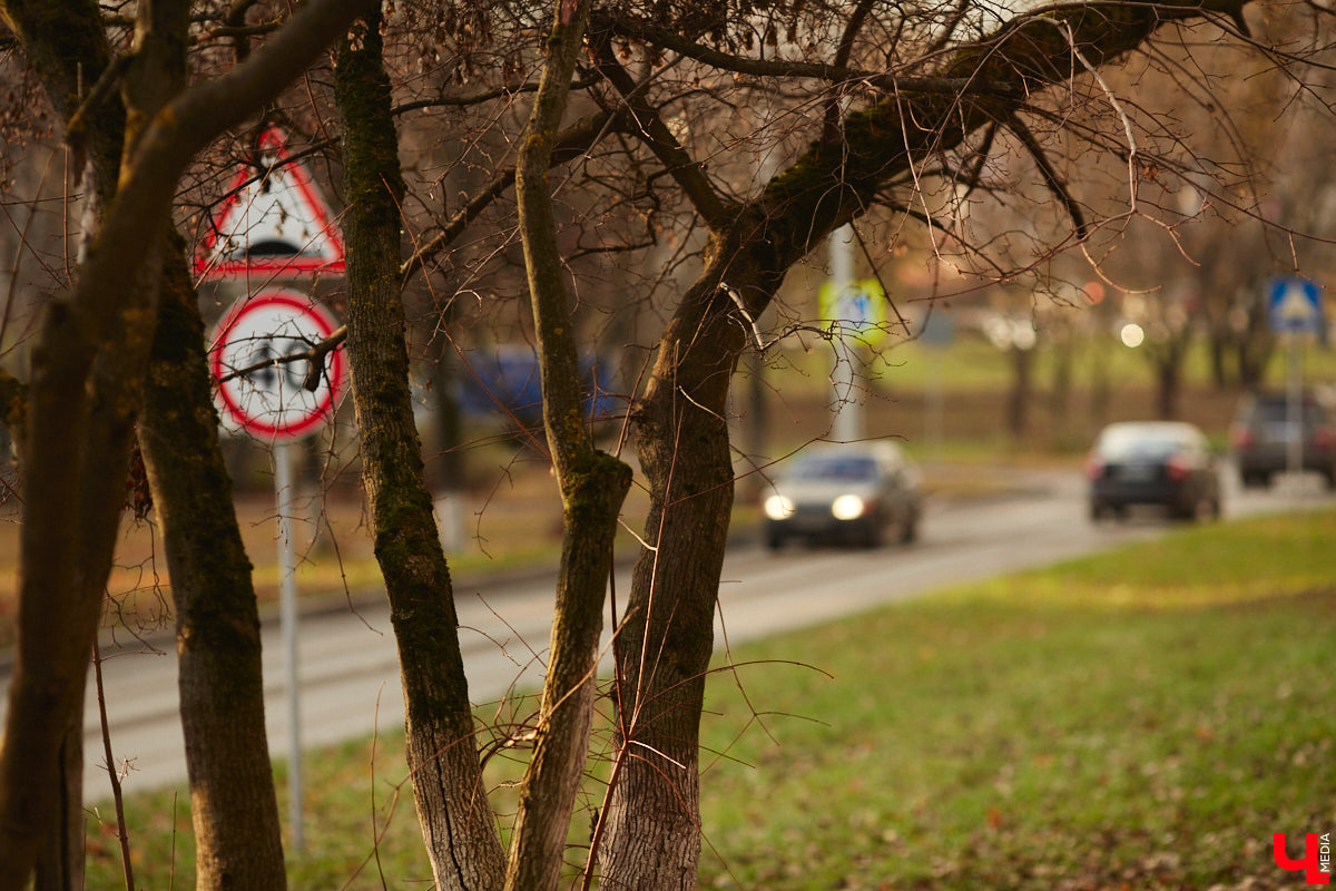 До прихода зимы осталось меньше месяца, а во Владимире все продолжается работа по благоустройству общественных пространств. Некоторые проекты находятся пока лишь на стадии планирования, а другие вот-вот завершат. Подробнее в нашем обзоре.
