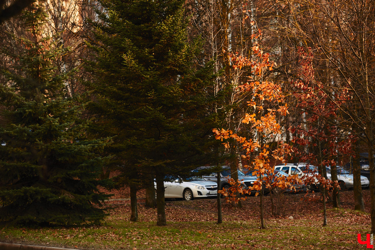 До прихода зимы осталось меньше месяца, а во Владимире все продолжается работа по благоустройству общественных пространств. Некоторые проекты находятся пока лишь на стадии планирования, а другие вот-вот завершат. Подробнее в нашем обзоре.