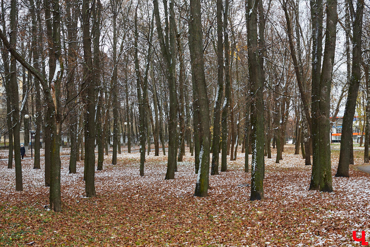Шубы наготове? Чистим мех, проверяем карманы и готовимся встречать полноценную зиму во Владимирской области. Ее приход характеризует преодоление среднесуточной температурой нулевого рубежа. Этот самый порог мы и перешагнем на текущей неделе.