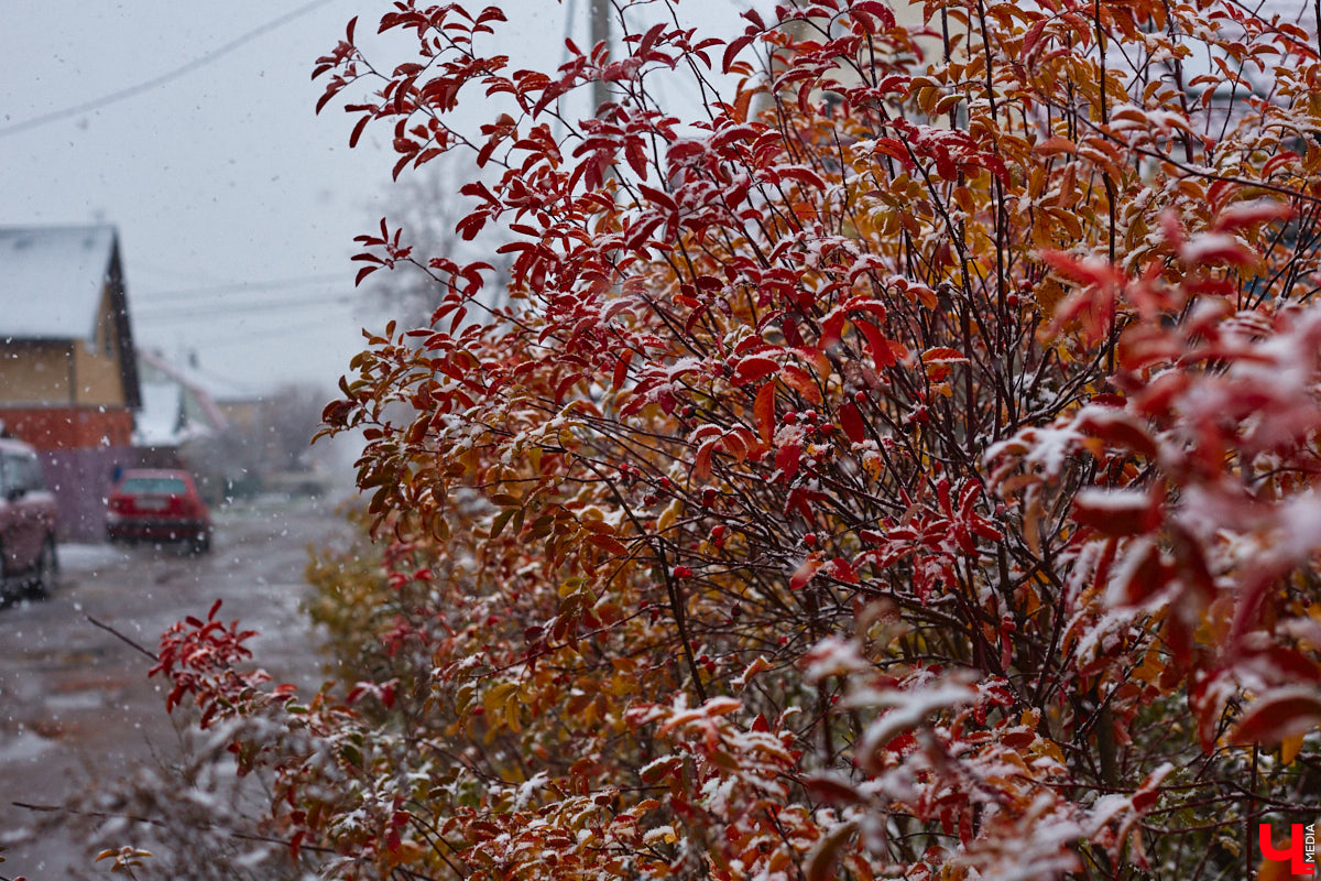 Шубы наготове? Чистим мех, проверяем карманы и готовимся встречать полноценную зиму во Владимирской области. Ее приход характеризует преодоление среднесуточной температурой нулевого рубежа. Этот самый порог мы и перешагнем на текущей неделе.