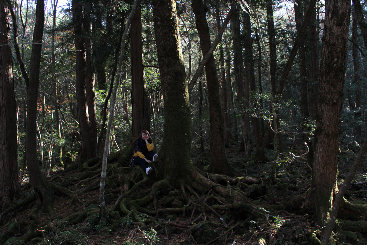 Свой день рождения жительница Владимира Елена Васильева в этом году решила отметить практически на краю земли, в далекой Японии. Выбор на нее пал не случайно, данная поездка стала для девушки юбилейной. Предлагаем послушать интересный рассказ о Стране восходящего солнца.