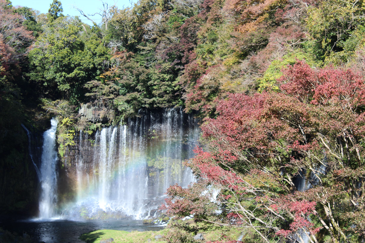 Свой день рождения жительница Владимира Елена Васильева в этом году решила отметить практически на краю земли, в далекой Японии. Выбор на нее пал не случайно, данная поездка стала для девушки юбилейной. Предлагаем послушать интересный рассказ о Стране восходящего солнца.