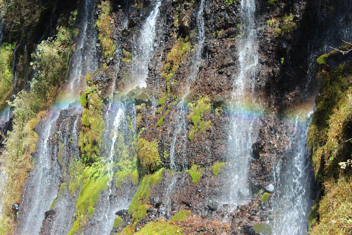 Свой день рождения жительница Владимира Елена Васильева в этом году решила отметить практически на краю земли, в далекой Японии. Выбор на нее пал не случайно, данная поездка стала для девушки юбилейной. Предлагаем послушать интересный рассказ о Стране восходящего солнца.