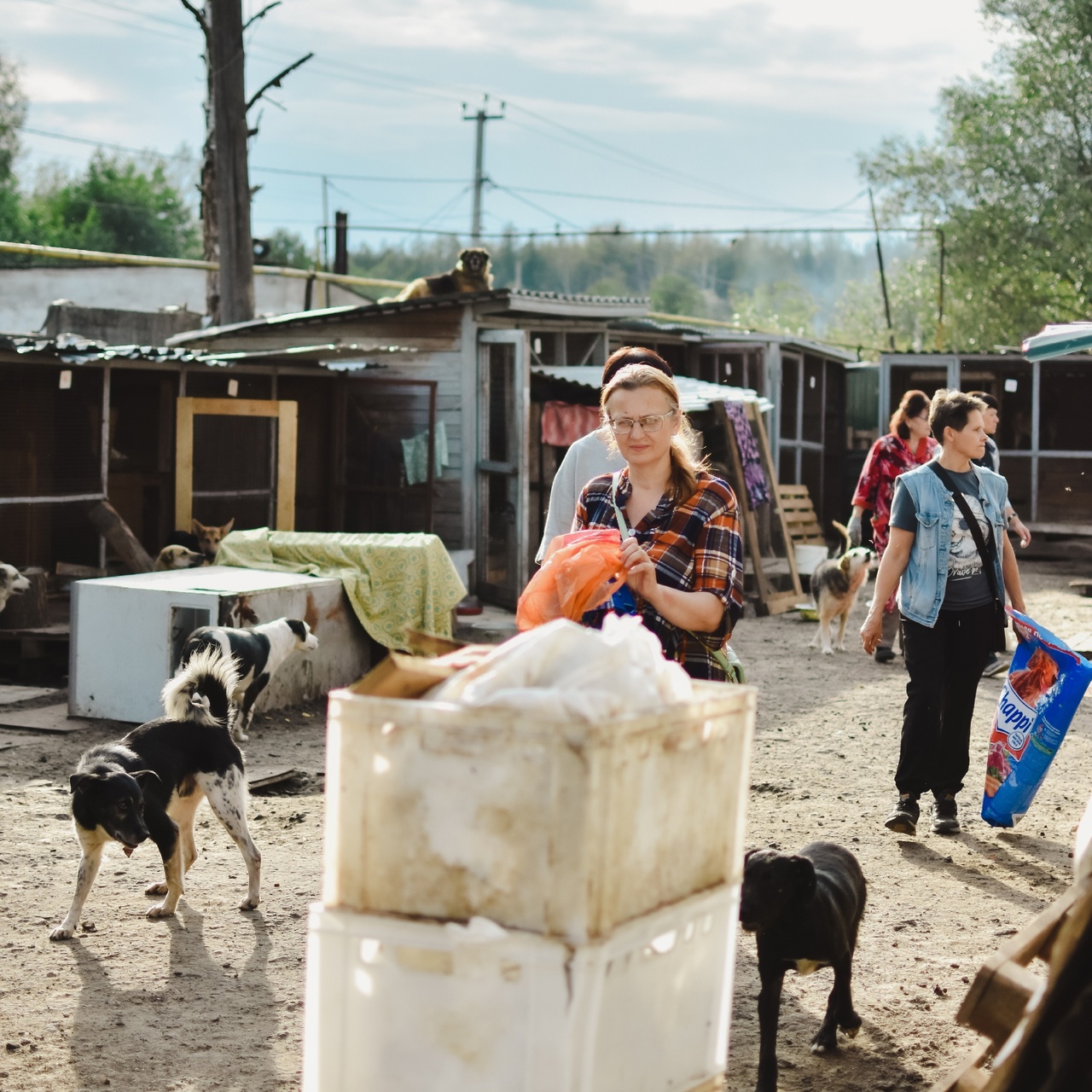 У нас для вас несколько зооновостей, и по классике есть как хорошие, так и плохие. Из позитивного можно отметить открытие гостиницы для животных, ну а негатива добавляют задержки со строительством первого во Владимирской области государственного приюта для бездомышей.