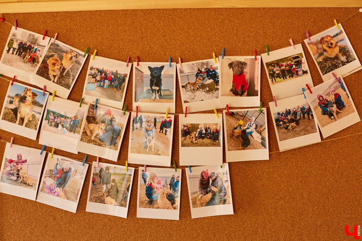 У нас для вас несколько зооновостей, и по классике есть как хорошие, так и плохие. Из позитивного можно отметить открытие гостиницы для животных, ну а негатива добавляют задержки со строительством первого во Владимирской области государственного приюта для бездомышей.