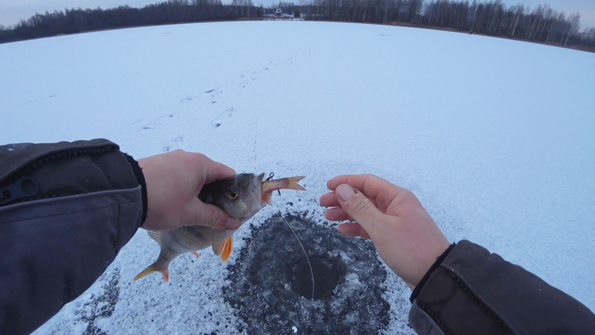 Владимирские рыбаки уже открыли сезон подледной ловли. Любителей посидеть на морозе с удочкой можно было заметить с начала недели. И если одни говорят, что время твердой воды настало, то другие предупреждают: лед под ногами трещит.