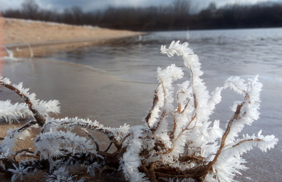 Владимирские рыбаки уже открыли сезон подледной ловли. Любителей посидеть на морозе с удочкой можно было заметить с начала недели. И если одни говорят, что время твердой воды настало, то другие предупреждают: лед под ногами трещит.